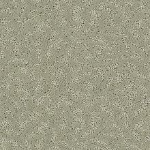 Load image into Gallery viewer, Amazing Scene|Cloud Cover|2S62-501 - Sample