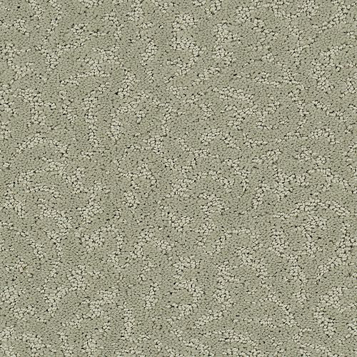 Amazing Scene|Cloud Cover|2S62-501 - Sample