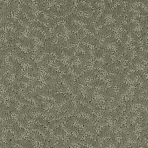 Amazing Scene|Passageway|2S62-507 - Sample