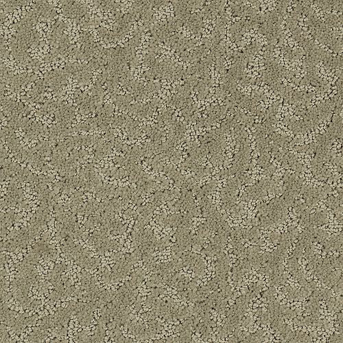 Amazing Scene|Mystique|2S62-508 - Sample