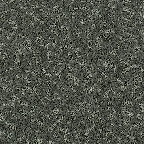 Amazing Scene|Shadow|2S62-513 - Sample