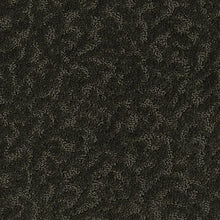 Load image into Gallery viewer, Amazing Scene|Raven|2S62-519 - Sample