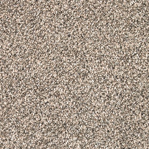 Blissful Manner|Sugar Cookie|63567-6741 - Sample