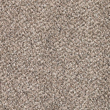 Load image into Gallery viewer, Blissful Manner|Oyster Shell|63567-6776 - Sample