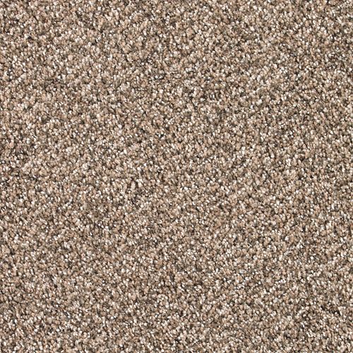 Blissful Manner|Gingerbread |63567-6777 - Sample