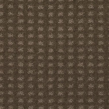 Load image into Gallery viewer, Graphic Allure|Bison|2S57-521 - Sample