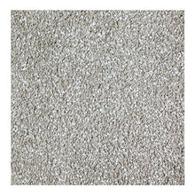 Load image into Gallery viewer, Exquisite Tones|Antiqued Silver|2S23-511 - Sample
