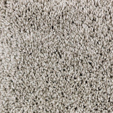 Load image into Gallery viewer, Authentic Idea II|True Taupe|2R68-858 - Sample