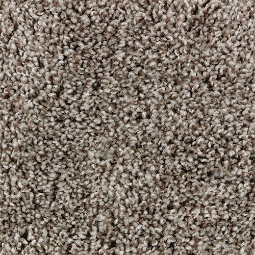 Authentic Idea II|Dark Fudge|2R68-868 - Sample