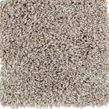 Load image into Gallery viewer, Authentic Idea II|Fiddlewood|2R68-876 - Sample