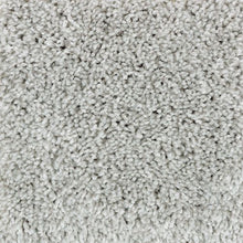 Load image into Gallery viewer, Authentic Idea II|Carolina Gull|2R68-946 - Sample