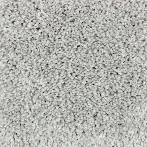 Authentic Idea II|Carolina Gull|2R68-946 - Sample