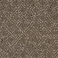 Load image into Gallery viewer, Exquisite Touch|Cathedral|2S43-517 - Sample