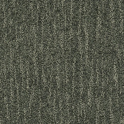 Absolute Fame|River Port|BP12B-513 - Sample