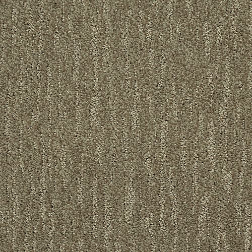 Absolute Fame|Library Oak|BP12B-518 - Sample