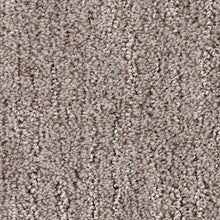 Load image into Gallery viewer, Absolute Fame|Harvest Home|BP12B-523 - Sample