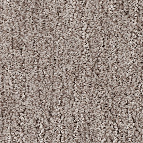 Absolute Fame|Harvest Home|BP12B-523 - Sample