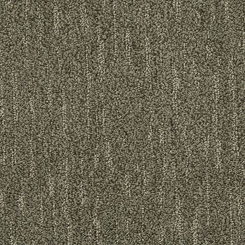 Absolute Fame|Lite Expresso|BP12B-522 - Sample