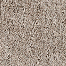 Load image into Gallery viewer, Absolute Fame|Horse&#39;s Mane|BP12B-524 - Sample