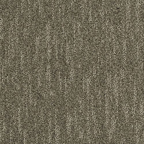 Absolute Fame|Granola|BP12B-516 - Sample