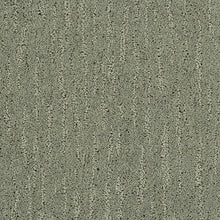 Load image into Gallery viewer, Absolute Fame|Coastal Fog|BP12B-502 - Sample