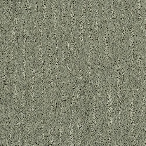 Absolute Fame|Coastal Fog|BP12B-502 - Sample