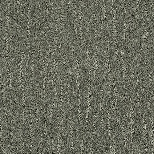 Absolute Fame|Clam Island|BP12B-508 - Sample