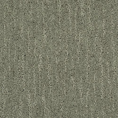 Absolute Fame|Highgate|BP12B-509 - Sample