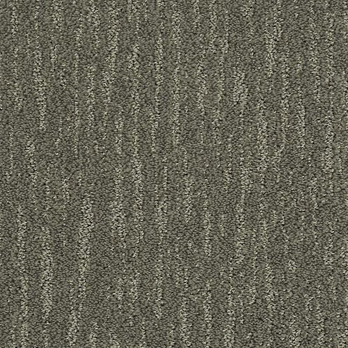 Absolute Fame|Thunder Dome|BP12B-515 - Sample