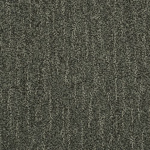 Absolute Fame|Grey Mountain|BP12B-520 - Sample
