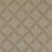 Load image into Gallery viewer, Attractive Luxury|Whispering Tones|2S87-504 - Sample