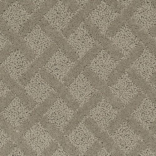 Attractive Luxury|Noveaux Taupe|2S87-509 - Sample