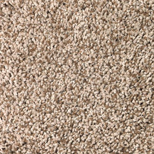 Load image into Gallery viewer, Bright Innovation I|Champagne Sparkle|2T75-742 - Sample