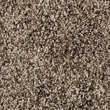 Load image into Gallery viewer, All Clear|Cabin Life|2T77-862 - Sample