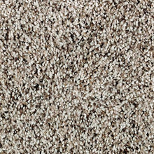 Load image into Gallery viewer, All Clear|Meteorite|2T77-959 - Sample