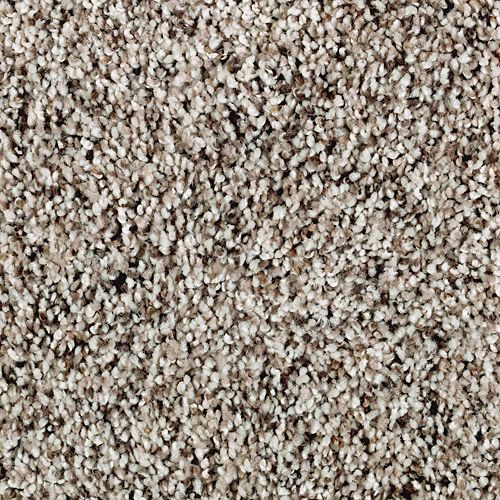 All Clear|Meteorite|2T77-959 - Sample