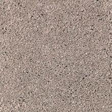 Load image into Gallery viewer, Natural Debut I|Tasteful Taupe|2T62-819 - Sample