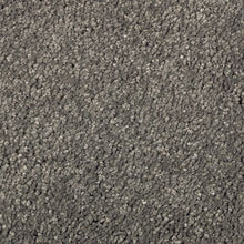 Load image into Gallery viewer, Natural Debut I|Contemporary Gray|2T62-978 - Sample