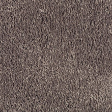 Load image into Gallery viewer, Pure Feeling II|Desert Mud|2T79-879 - Sample