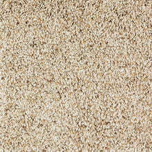 Load image into Gallery viewer, Opulent Taste|Cliff Dwelling|2S29-509 - Sample