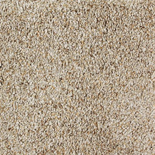 Load image into Gallery viewer, Exquisite Appeal|Stepping Stones|2S28-504 - Sample