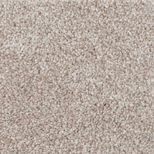 Authentic Harmony|Yorktown|2W68-815 - Sample