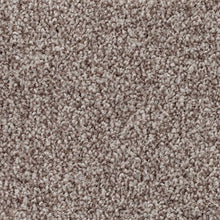 Load image into Gallery viewer, Authentic Harmony|Bittersweet|2W68-878 - Sample