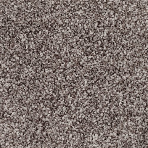 Authentic Harmony|Eclipse|2W68-976 - Sample