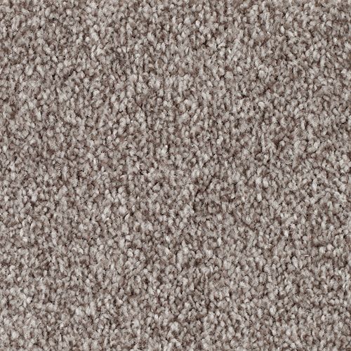 Authentic Harmony|Tradewind|2W68-978 - Sample