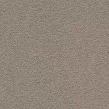 Load image into Gallery viewer, Adrenaline|Charismatic|2U96-9739 - Sample