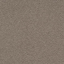 Load image into Gallery viewer, Adrenaline|Entice|2U96-9745 - Sample