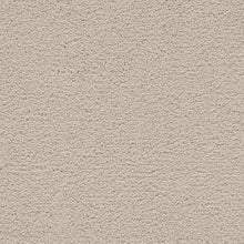 Load image into Gallery viewer, Traditional Cheer|Allure|79042-3700 - Sample