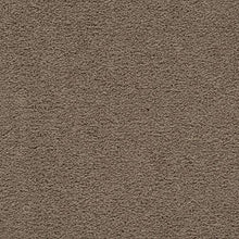 Load image into Gallery viewer, Craftsman Charm|Livingston|2V32-9779 - Sample