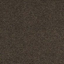 Load image into Gallery viewer, Traditional Cheer|Fortress|79042-3879 - Sample